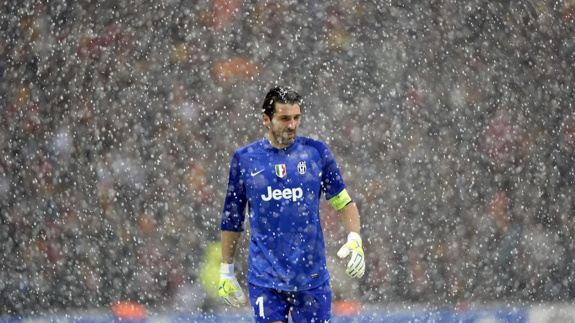 伊朗青少年马术选手在2024年全国青少年马术锦标赛中表现出色，获得多项荣誉。