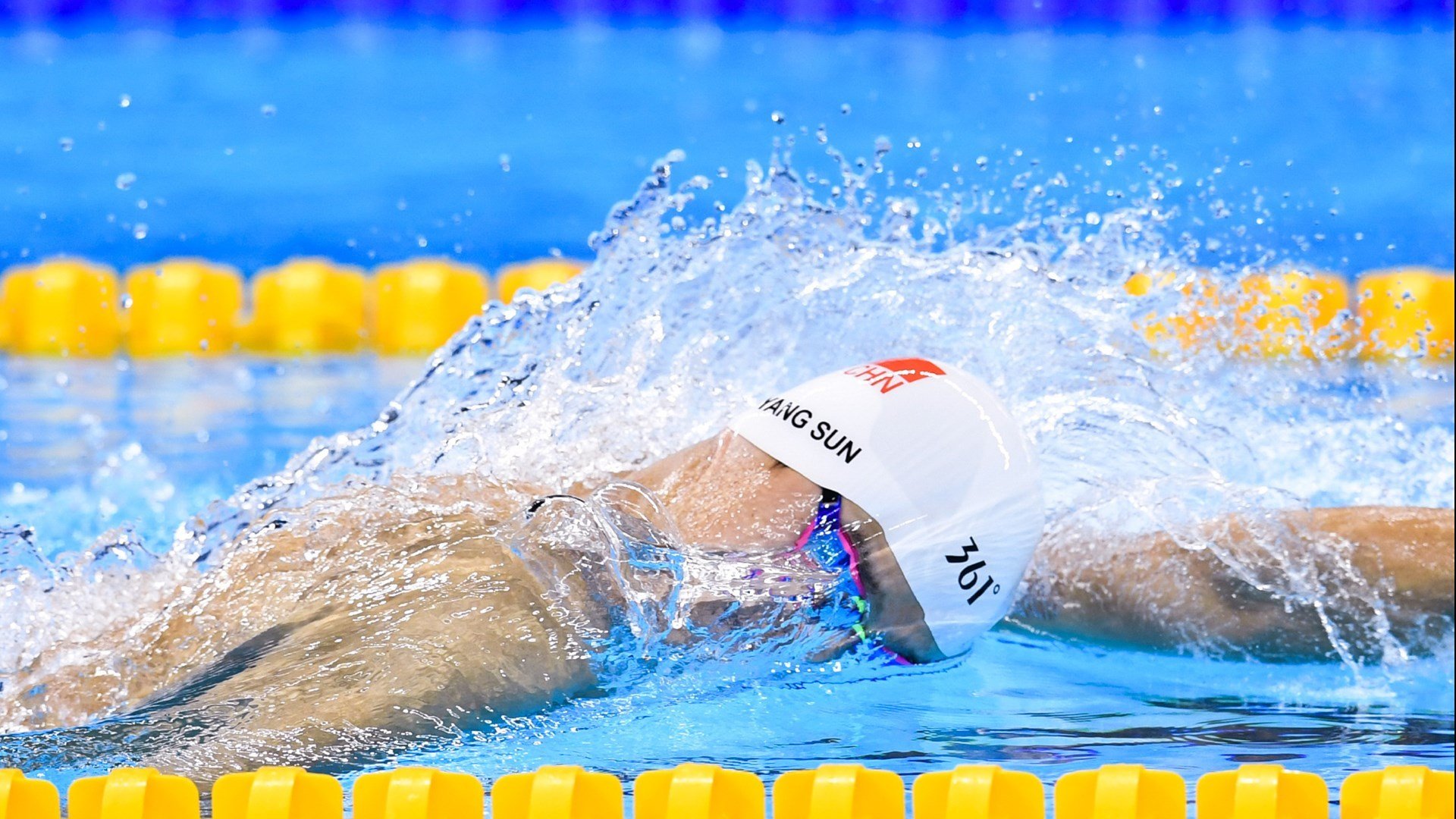 大型森林高空绳索探索，刺激十足的极限体验，高空绳索训练架