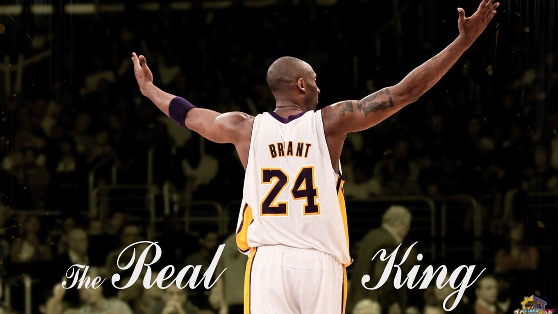 电竞设备升级推进比赛公平公正，电竞设备配置